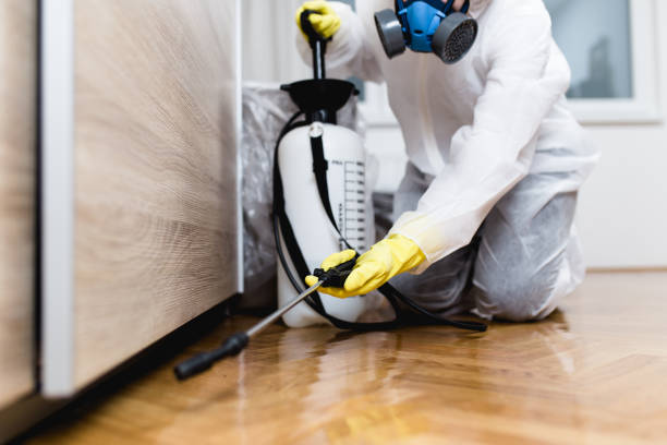 Best Rat Extermination Near Me  in San Rafael, CA