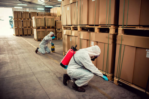 Pest Control for Restaurants in San Rafael, CA
