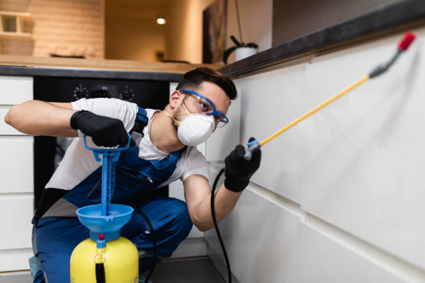  San Rafael, CA Pest Control Pros