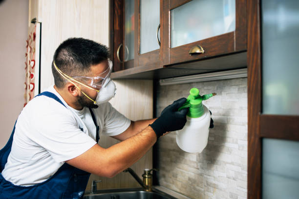 Best Local Pest Control Services  in San Rafael, CA