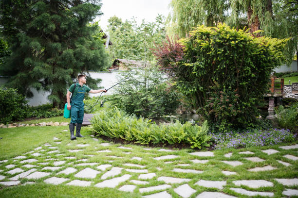 Best Best Pest Control Companies  in San Rafael, CA