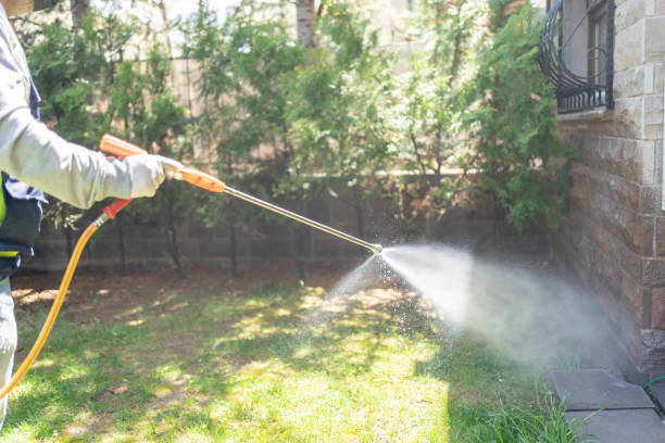 Best Flea Control Services  in San Rafael, CA