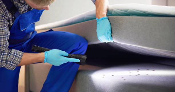 Best Emergency Pest Control  in San Rafael, CA