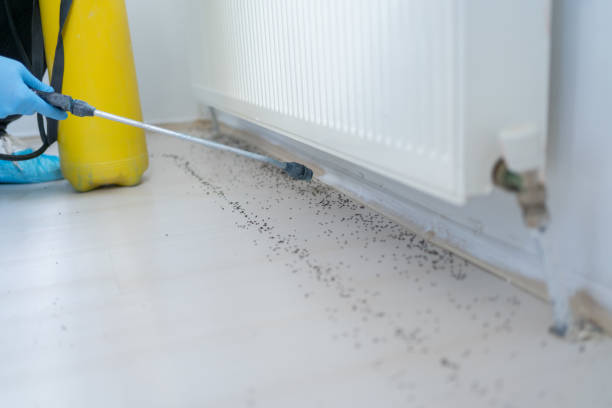 Best Wildlife Control Services  in San Rafael, CA